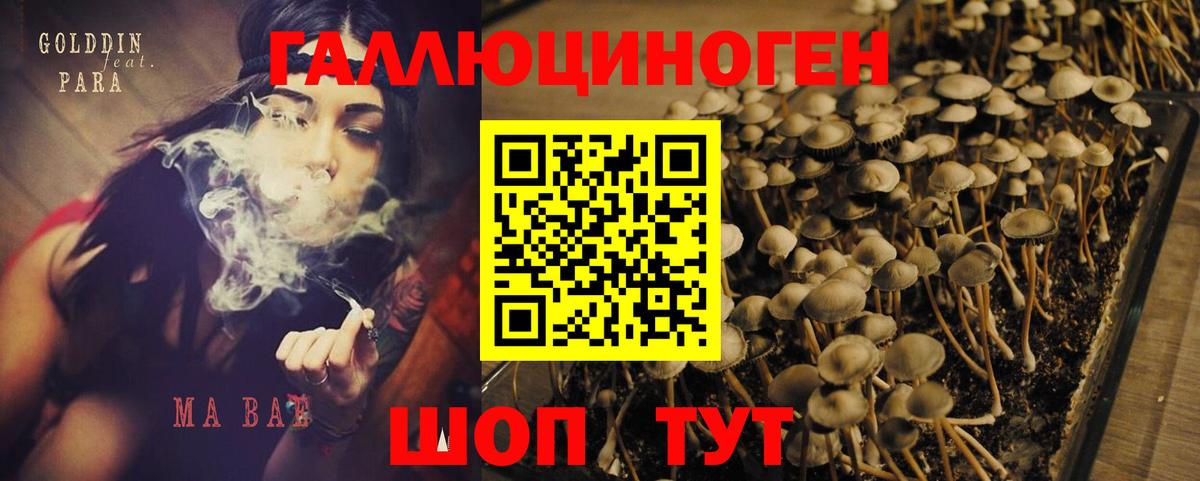 Галлюциногенные грибы MAGIC MUSHROOMS Зеленогорск