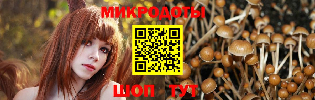 Псилоцибиновые грибы мухоморы  Вход с VPN  Зеленогорск  Галлюциногенные грибы GOLDEN TEACHER 